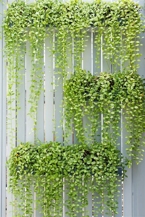 18 Smart Vertical Garden Ideas For Small Spaces | Horticulture