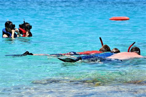 People Snorkeling at Coki Bay on the Northside, Saint Thomas - Encircle ...