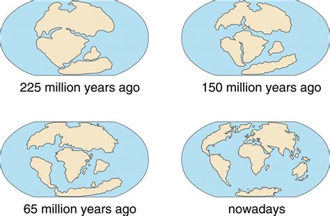 How Did Continental Drift Affect Life On Earth Today? » ScienceABC