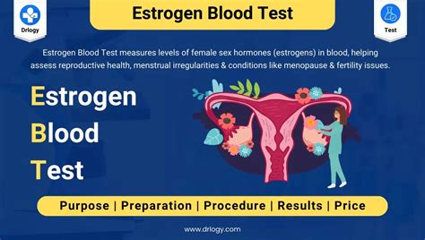 Estrogen Blood Test: Price, Normal Range & Results - Drlogy