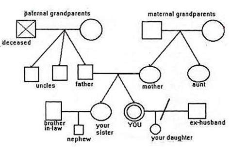 How to make and use a family "genogram" (map)