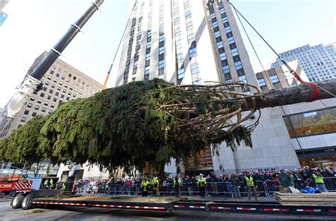 Rockefeller Center Christmas tree arrives in NYC - CBS News