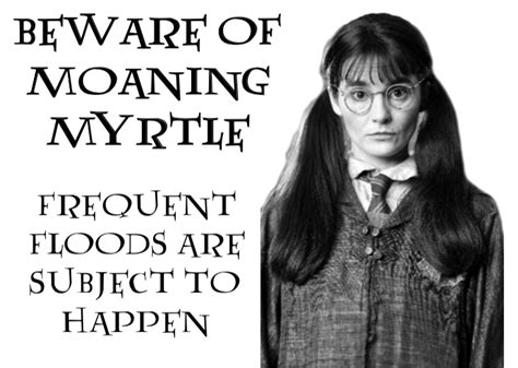 Harry Potter Moaning Myrtle toilet signs | Moaning myrtle, Harry potter fat lady, Moaning myrtle ...