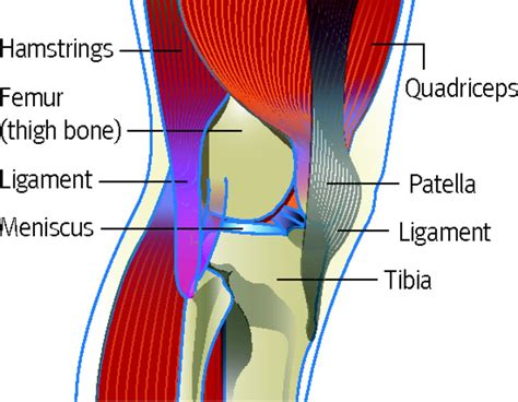 Patellofemoral pain | The BMJ