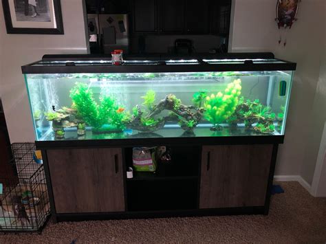 125 gallon fish tank setup with accessories and fish for Sale in Beulaville, NC - OfferUp