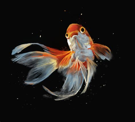 ArtStation - gold fish