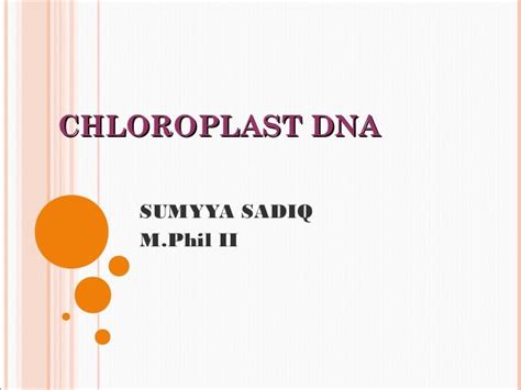 chloroplast DNA