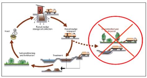 Stages in the cycle of Human Waste Management | Download Scientific Diagram