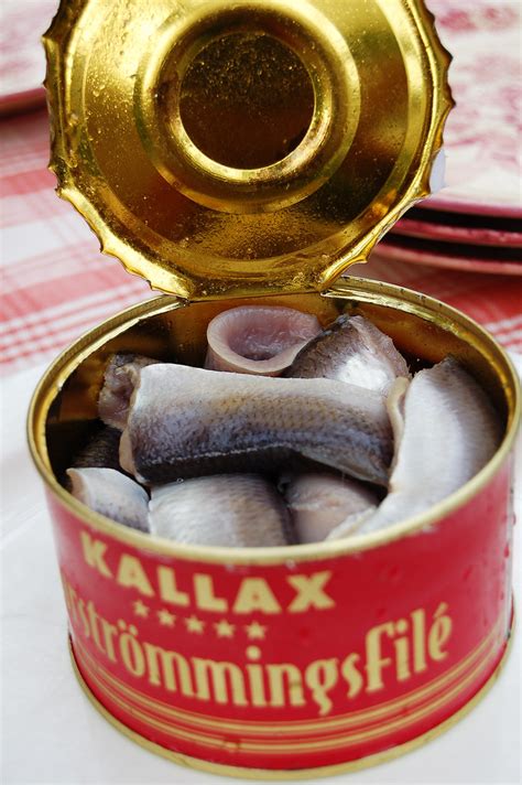 Surströmming | Surströmming (fermented Baltic herring) in th… | Flickr