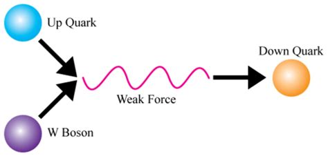 Atomic Forces ( Read ) | Physical Science | CK-12 Foundation