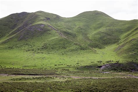 Tibetan Plateau Grasslands Photograph by Eric Gregory Powell | Fine Art America