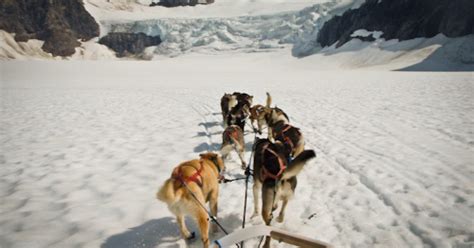 Alaska Winter Activities | Day Tours, Attractions,… | ALASKA.ORG