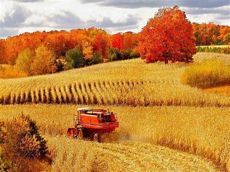 65+ Fall Farm Harvest Wallpapers - Download at WallpaperBro | Cloud ...