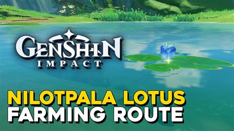 Genshin Impact Nilotpala Lotus Farming Route — 100% Guides