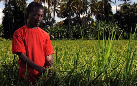 Farmers' battle to cope with climate change could spark rural renewal