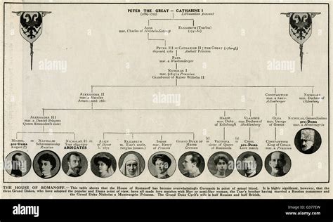 Family tree of Peter the Great and Catherine I Stock Photo - Alamy