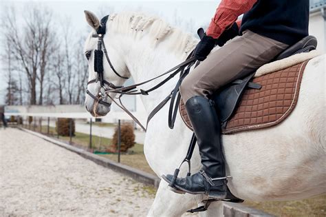 Banamine for Horses | Banamine Dosage for Horses | FCE