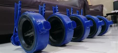 Lined Butterfly Valve Manufacturers in India, Mumbai, Double Offset