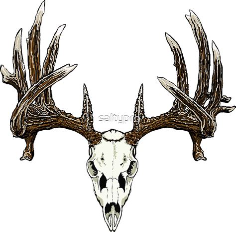 "Whitetail deer skull " Stickers by saltypro | Redbubble