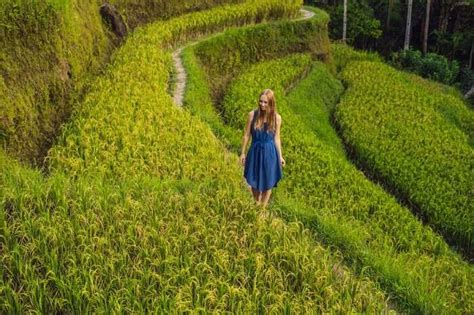 Tegallalang Rice Terraces: The Perfect Guide For All Travelers!