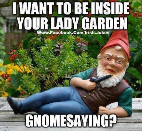 164 best Gnome Memes: Funny Gnomes images on Pinterest | Funny gnomes ...