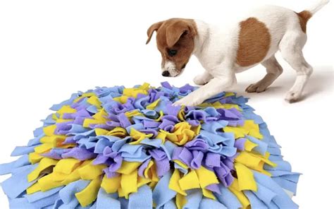 Snuffle Mat for Dogs - Which is the Best Snuffle Mat?