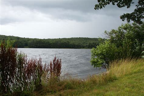 Lake Shore Free Stock Photo - Public Domain Pictures