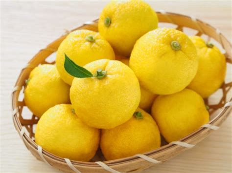 13 Surprising Benefits of Yuzu Fruit | Organic Facts