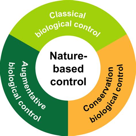 The categories of biological control. Natural biological control ...