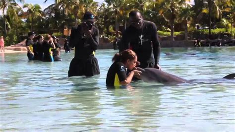 DOLPHIN CAY Atlantis Resort, Bahamas - YouTube