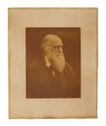 (Darwin, Charles) — Julia Margaret Cameron | The rarest of Cameron’s portraits of Darwin | Age ...