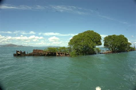 100-Year-Old Shipwreck in Australia Overgrown by Mangroves