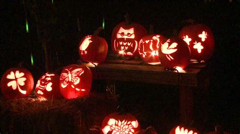 Hundreds of Carved Pumpkins on Display at Creekside Gardens | wnep.com