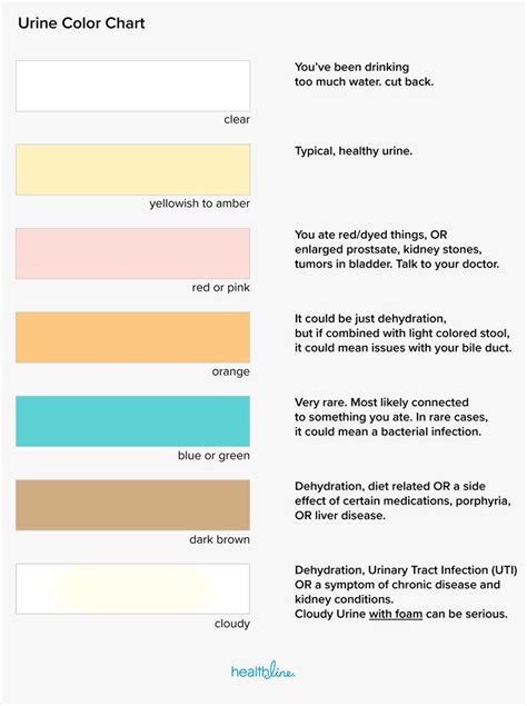 Urine Color Chart: What’s Normal and When to See a Doctor | Urinal, Color, Chart