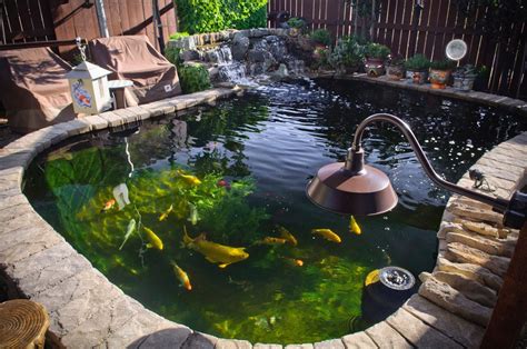 30 Marvelous Diy Above Ground Koi Pond - Home Decoration and ...