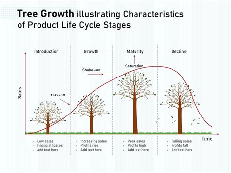 Tree Growth Illustrating Characteristics Of Product Life Cycle Stages | Presentation Graphics ...