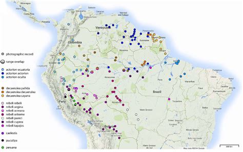 Map showing collection localities of Bia species and subspecies (see... | Download Scientific ...