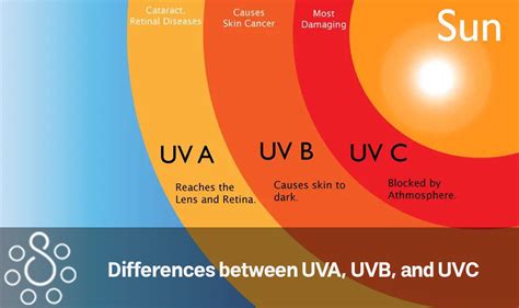 Differences between UVA, UVB, and UVC - Surya Home