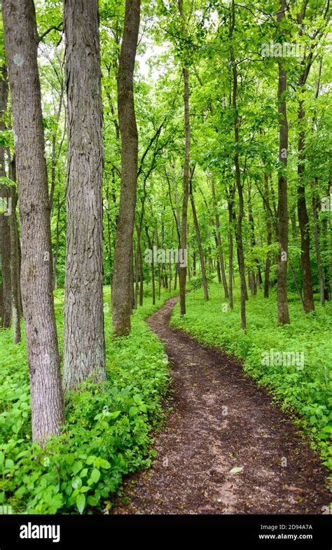 Effigy Mounds National Monument Stock Photo - Alamy