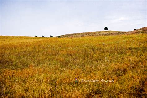 Custer State Park, South Dakota on Behance