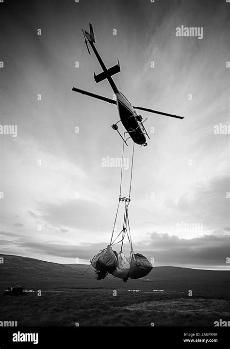 Helilifting dumpy bags of heather brash to spread on bare peat to ...