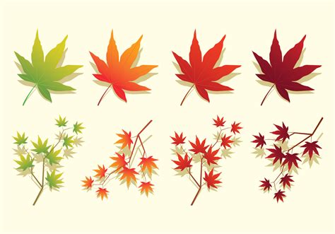 Japanese Maple Leaves Icons 159181 Vector Art at Vecteezy