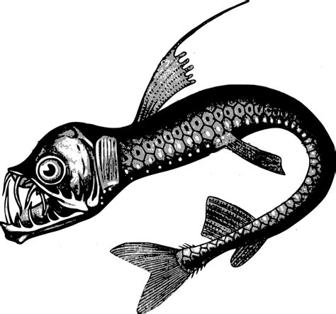 Fish Sea Monster Vector Clipart image - Free stock photo - Public Domain photo - CC0 Images