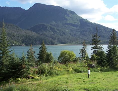 Guided Glacier Kayaking and Hiking Tour - Homer, Alaska