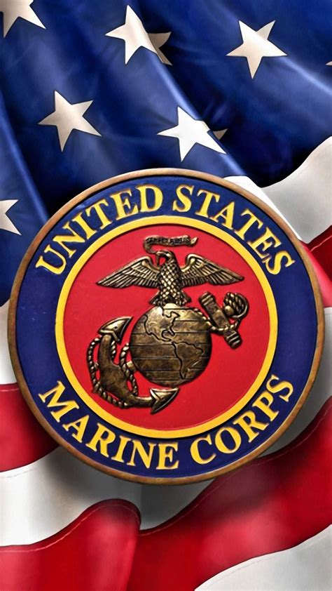 the united states marine corp emblem on an american flag