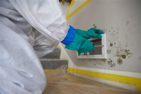 The Mold Remediation Process | Lone Star Pro Services