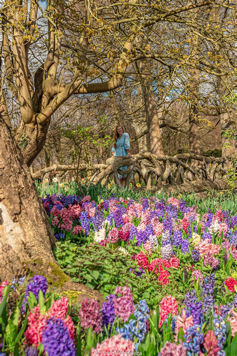 Spring in Belgium; 23 most beautiful places to find blossoms and flowers