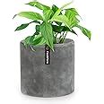 Amazon.com : Fox & Fern Flower Pot, 8 Inch Plant Pots Indoor, Planters for Indoor Plants, 8 Inch ...