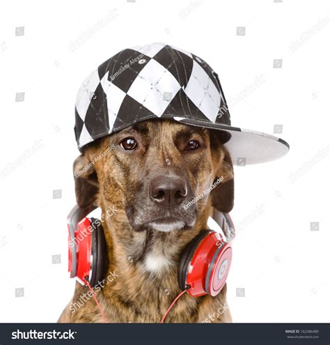 1,197 Rapper Animal Images, Stock Photos & Vectors | Shutterstock