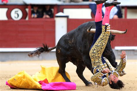 Matadors Brutally Gored by Bull at Madrid Bullfighting Festival